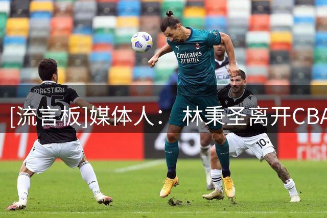 [流言板]媒体人： 林秉圣离开CBA更像职业生涯的逗号，期待他再回归